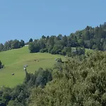 Apartment The Alps By In One Zell am See